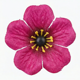 Bloomora – Weatherproof Outdoor Flower Topiary