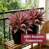 Verdara – Vibrant Faux Cordyline Plant Set