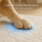 Coolava – Instant Cooling Pet Mat for Dogs and Cats, Scratch-Resistant