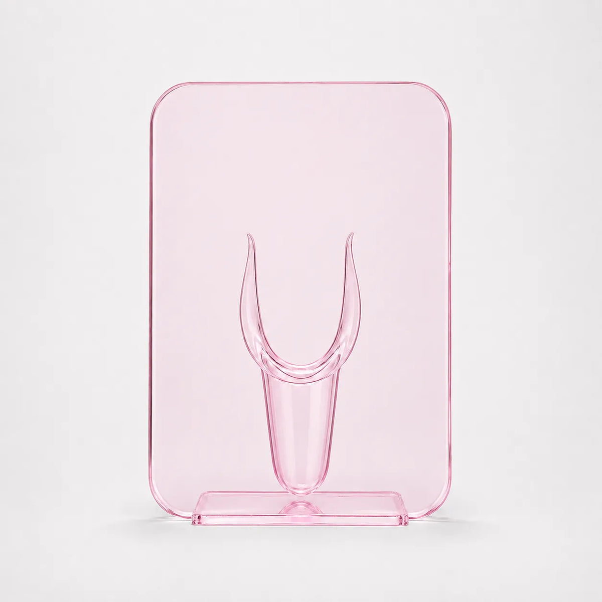 Belavera – Clear Acrylic Frame Vase for Flowers, Modern Picture