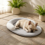 Pawloom – Cooling Pet Bed with 3D Breathable Surface, No Electricity Needed