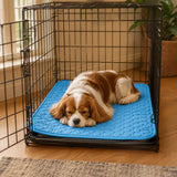 Coolo – Self-Cooling Pet Mat, Ice Silk-like Dog Cooling Pad, No-Freezer Cooling Mat for Dogs
