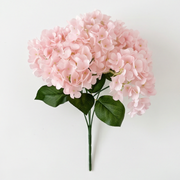 Soft Pink