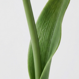 Bloomora – LED Tulip Lamp with Ceramic Vase