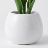 Bloomora – LED Tulip Lamp with Ceramic Vase