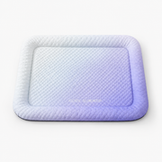 Gradient Purple