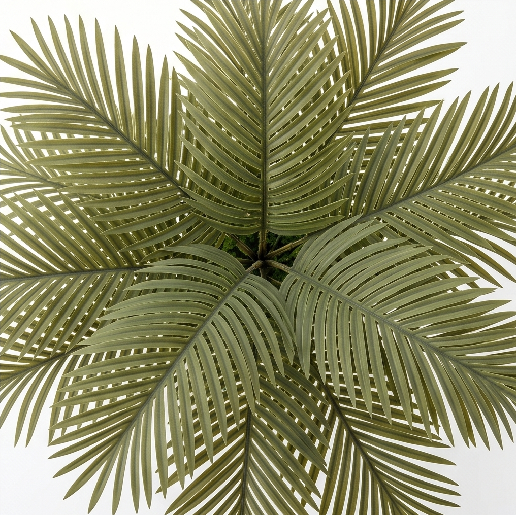 Palmora – Areca Palm LED Lamp with Pot