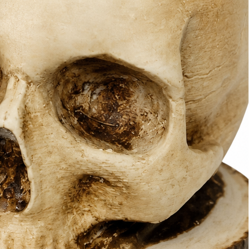 Osseo – Skull Knife Holder That Turns Storage Into Display