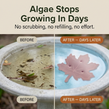 Coppera – Copper Leaf Bird Bath Purifier