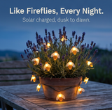 Lumibee – Glowing Bee Lights