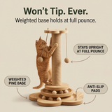 Purrch 3-in-1 Cat Scratching Post with Ball Track and Feather Wand