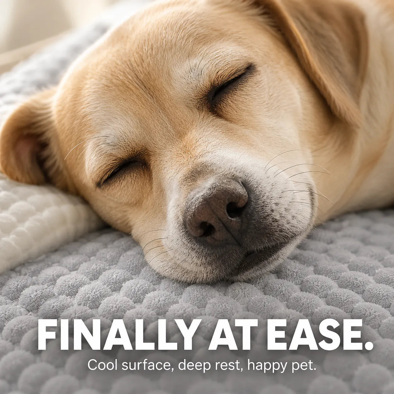 Pawloom – Cooling Pet Bed with 3D Breathable Surface, No Electricity Needed