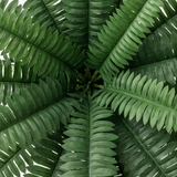 Fernly – Realistic Artificial Boston Fern