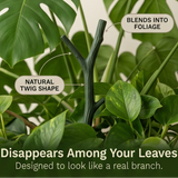 Growvia – Stackable Twig Shaped Plant Support Stakes