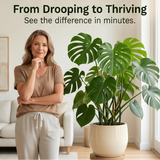 Growvia – Stackable Twig Shaped Plant Support Stakes