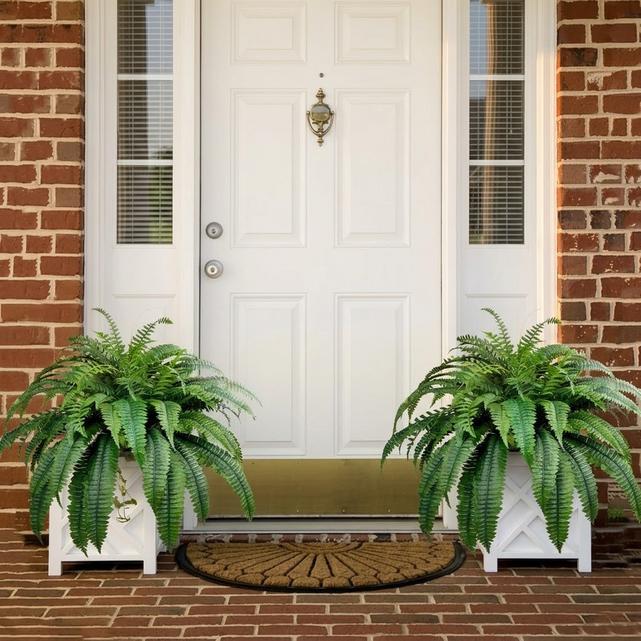 Fernly – Realistic Artificial Boston Fern