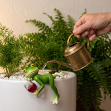 Hopwell – Wine-Sipping Frog Planter Ornament