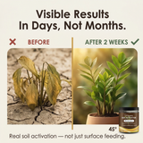 Rootvive – Mineral Source Soil Activator for Healthier Plants