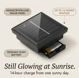 Lumiara - Vintage Glow Solar Walkway Light
