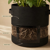 Growvia – Potato Grow Bag with Clear Harvest Window