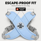 Pawlyn – X Frame No Pull Dog Harness and Leash Set for Small Breeds