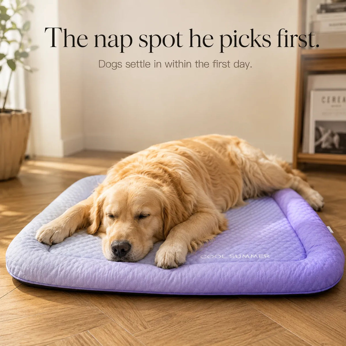 PawChill – Cooling Mat for Dogs with Pillow Edge and Non-Slip Base