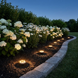 Lumeré – Warm-Glow Solar Path Lights