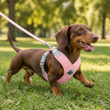 Pawlyn – X Frame No Pull Dog Harness and Leash Set for Small Breeds