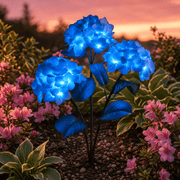 Sapphire Blue