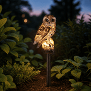 Forest Brown Owl