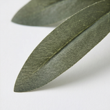 Olivelle – Warm-Glow Olive Wreath for Doors and Walls
