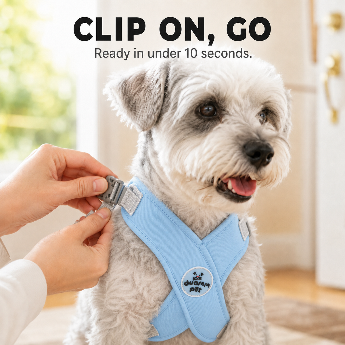 Pawlyn – X Frame No Pull Dog Harness and Leash Set for Small Breeds