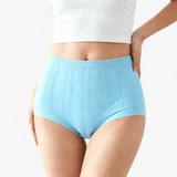 SleekHips – High Waisted Leakproof Panties