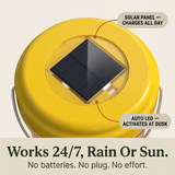 Waspora – Solar Wasp Trap with LED (2-Pack)