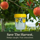 Waspora – Solar Wasp Trap with LED (2-Pack)