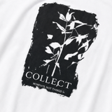 Sunlora – Women's Graphic Tee and Bermuda Shorts Set